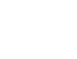 ssaadf-300x231.png
